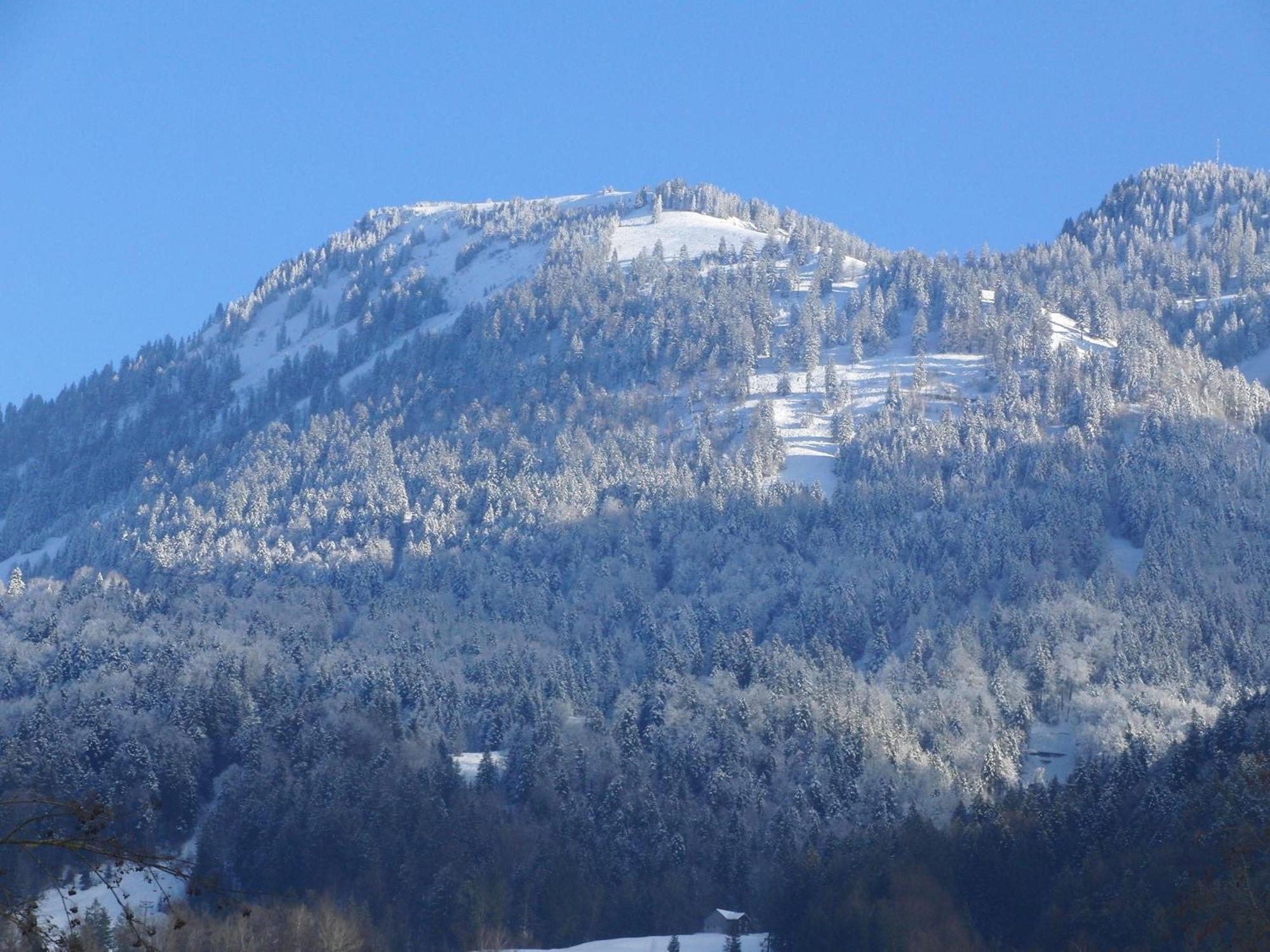 Gaestehaus-Pension Barbara Andelsbuch Luaran gambar